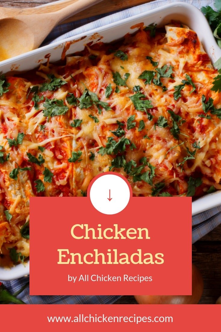 Chicken Enchiladas Recipe