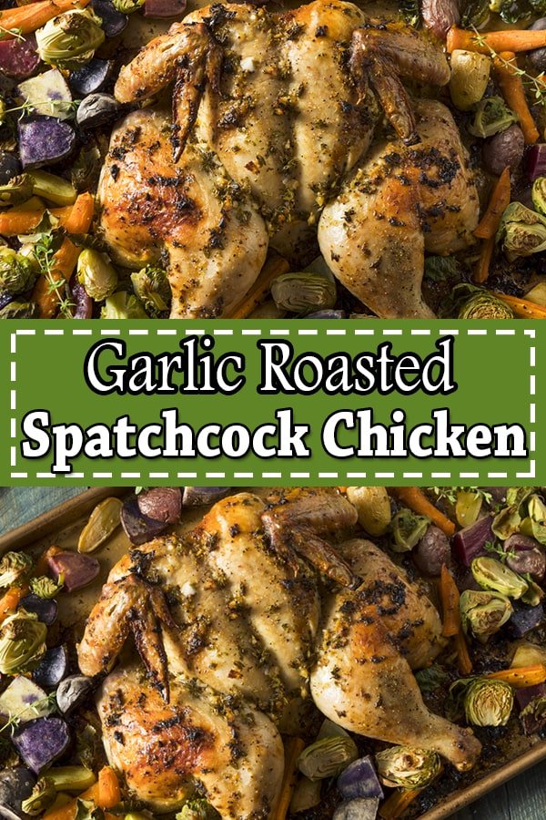 Spatchcock Chicken Recipe