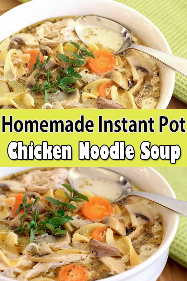instant pot chicken noodle soup recipe