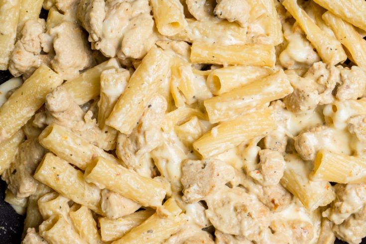 chicken alfredo crock pot