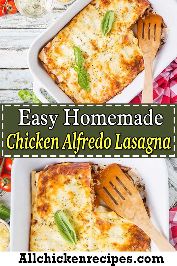 Easy Homemade Chicken Alfredo Lasagna