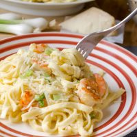 chicken alfredo and shrimp