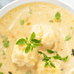 Homemade Chicken Dumpling Soup