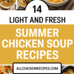 Summer Chicken Soup Recipe Ideas