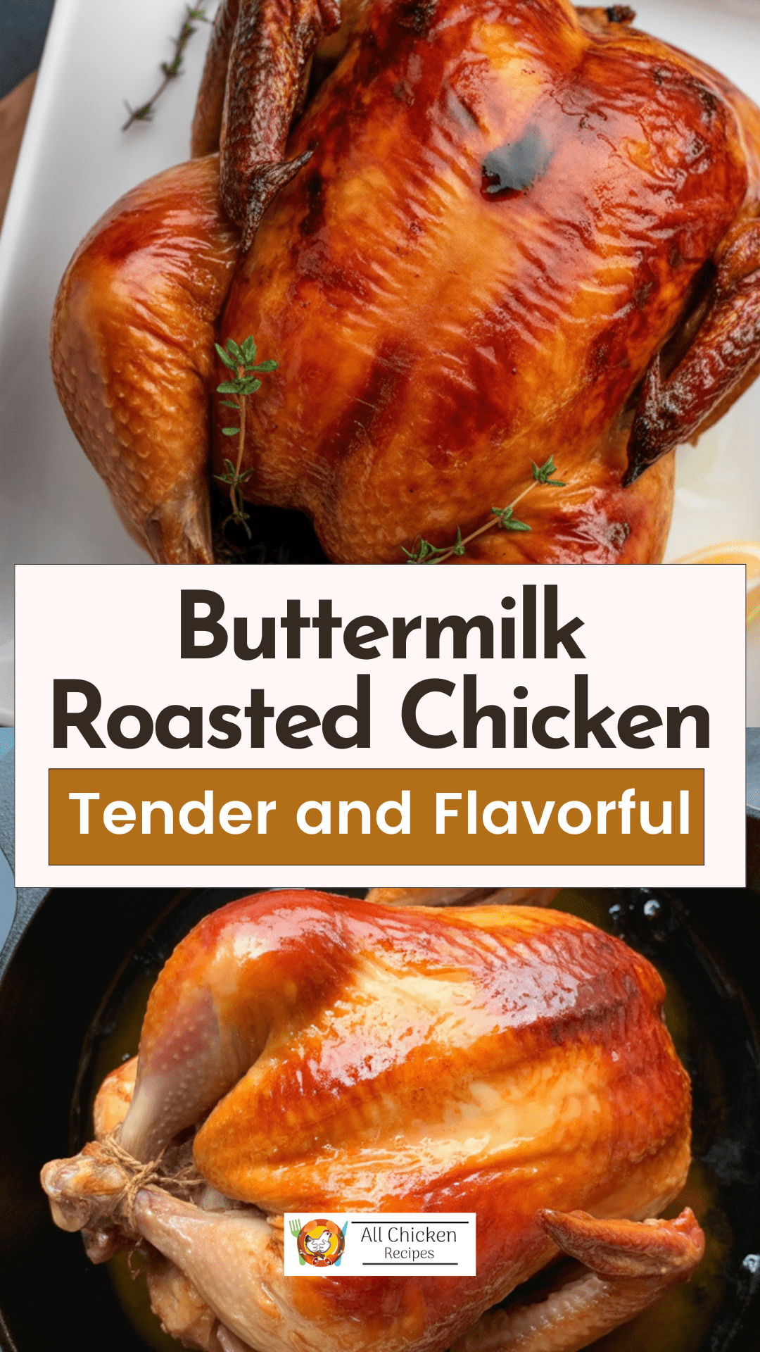 Buttermilk Roasted Chicken Buttermilk Roasted Chicken