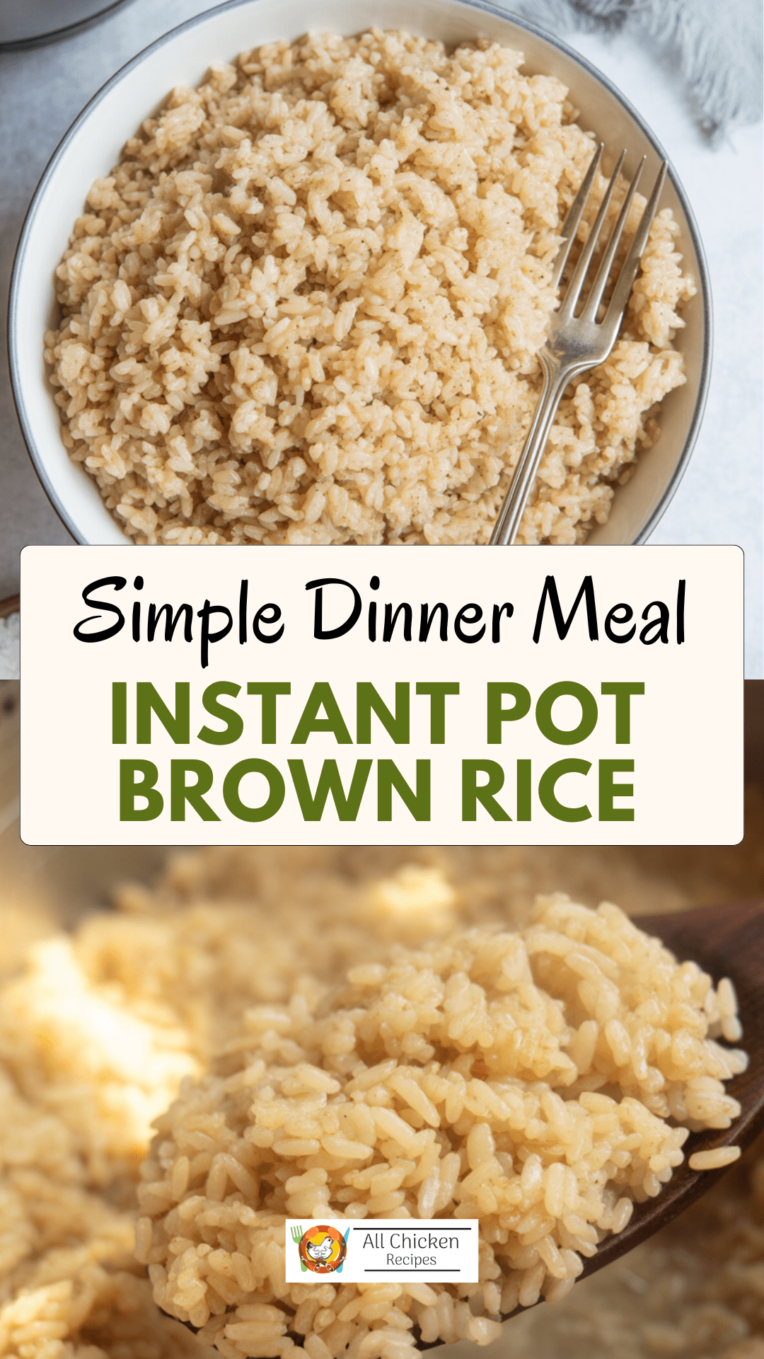 Instant Pot Brown Rice Instant Pot Brown Rice
