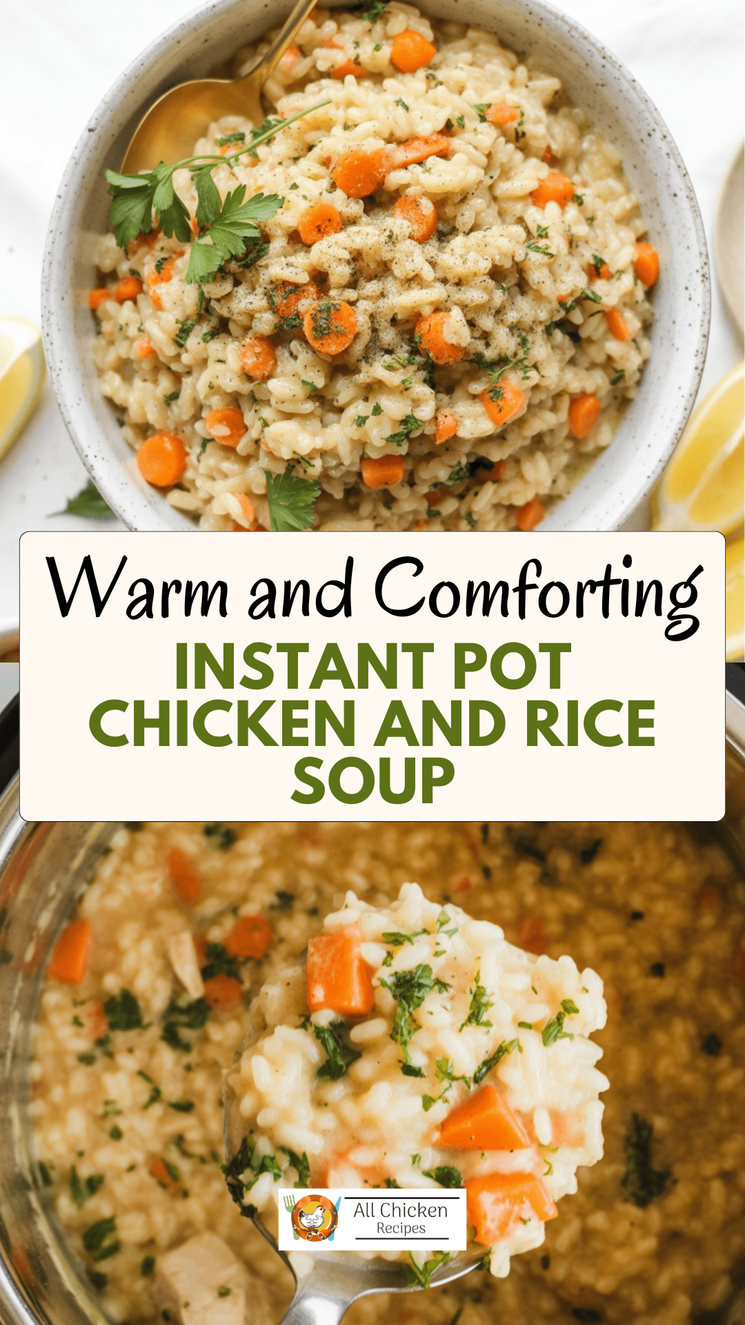 Instant Pot Chicken and Rice Soup Instant Pot Chicken and Rice Soup