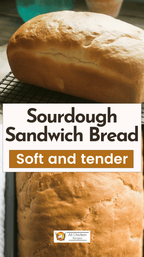 Sourdough Sandwich Bread Sourdough Sandwich Bread
