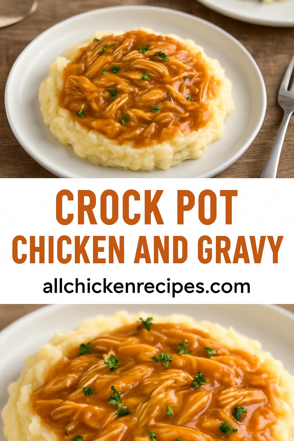 Crock Pot Chicken and Gravy