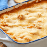 easy Rotisserie Buffalo Chicken Dip