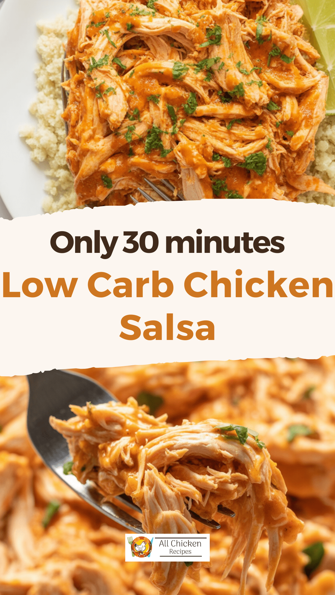 low carb chicken salsa low carb chicken salsa