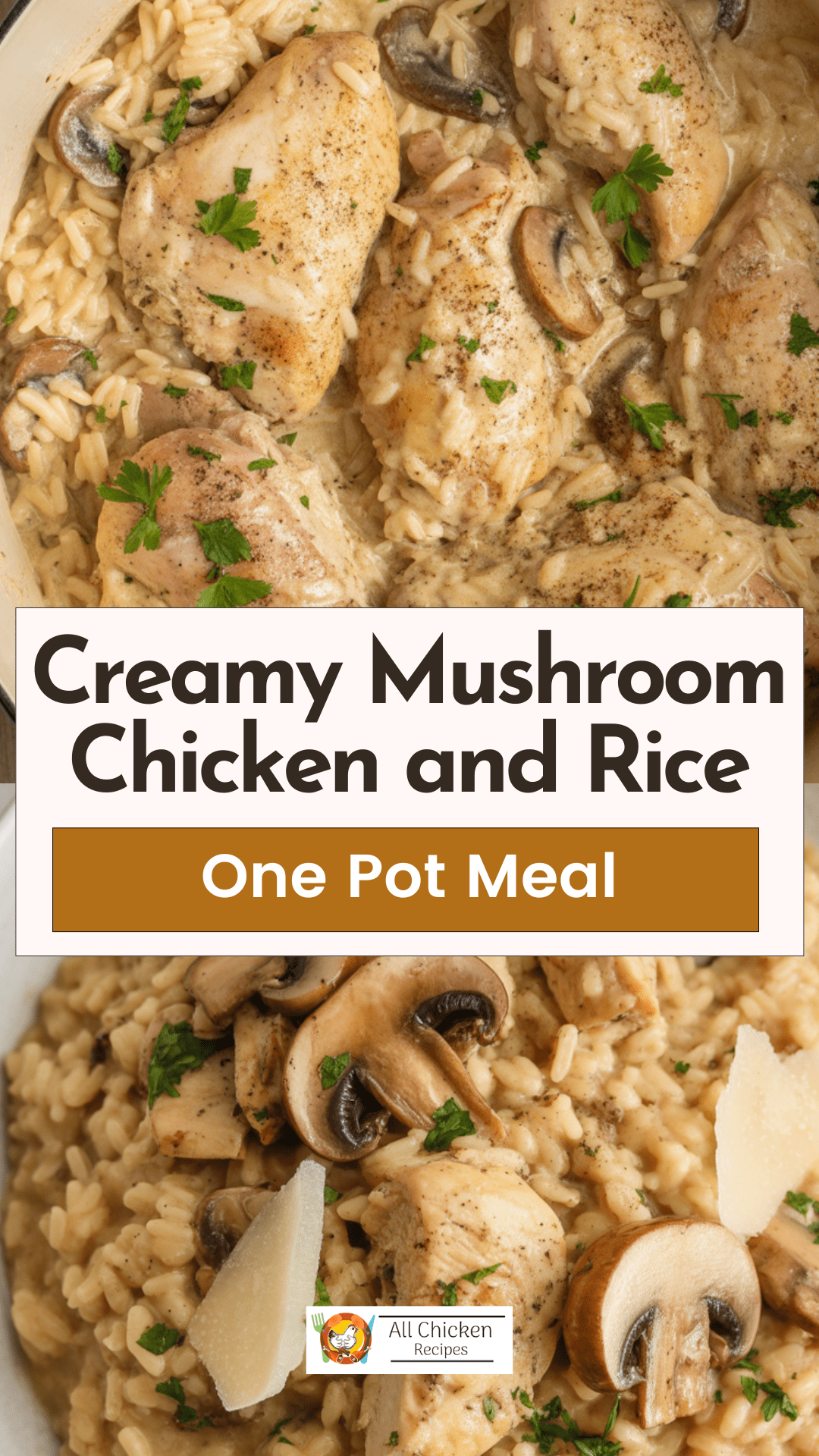 Creamy Mushroom Chicken and Rice
