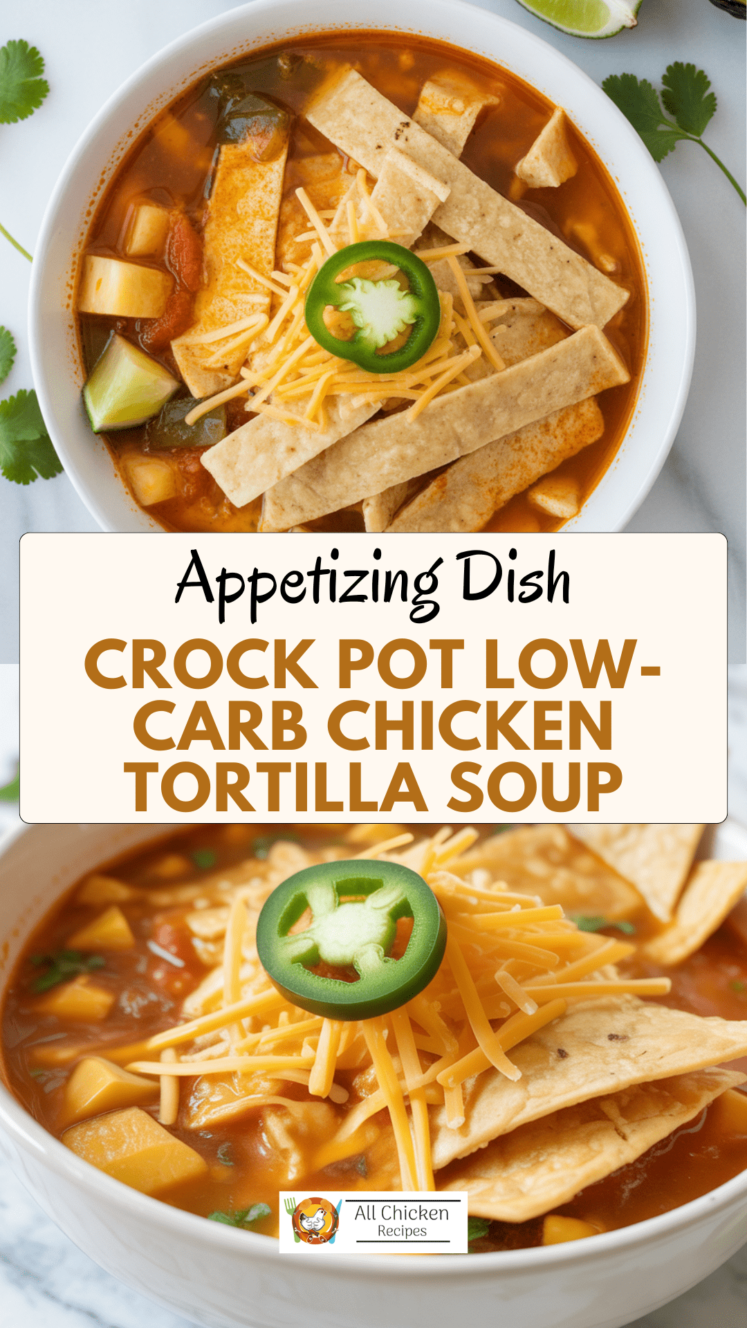 Crock Pot Low-Carb Chicken Tortilla Soup Crock Pot Low-Carb Chicken Tortilla Soup