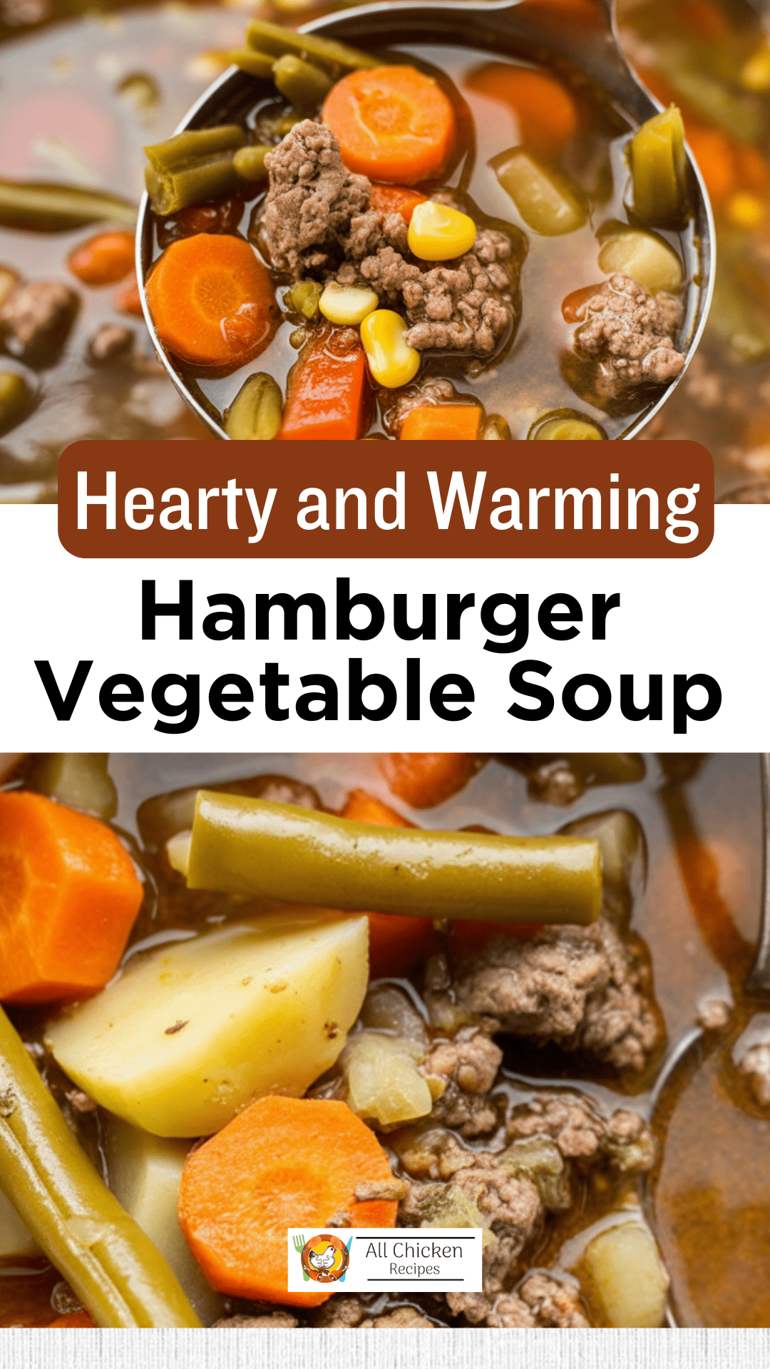 Hamburger Vegetable Soup Hamburger Vegetable Soup