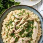 Southern Chicken and Rice crockpot recipe