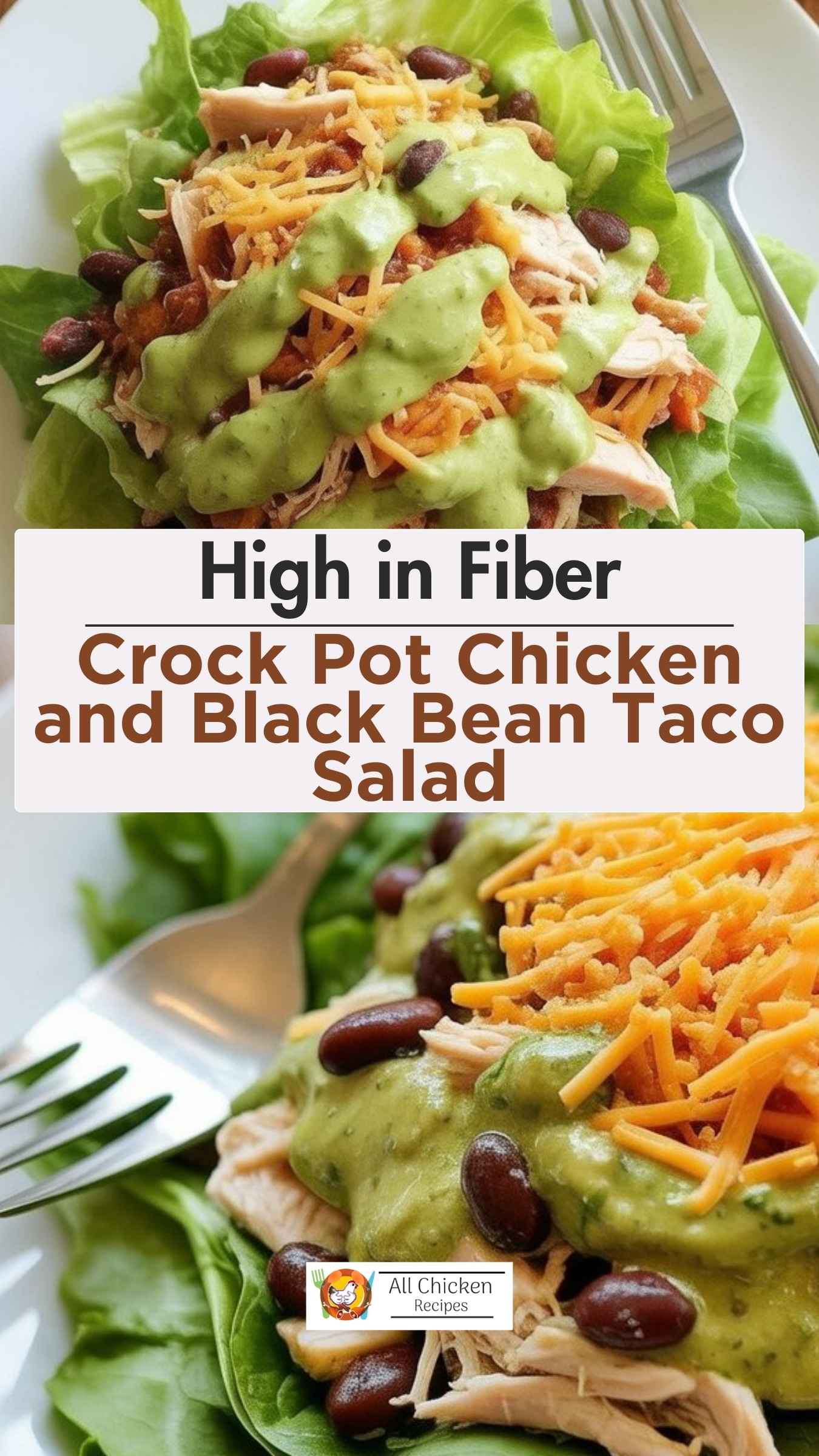 Crock Pot Chicken and Black Bean Taco Salad