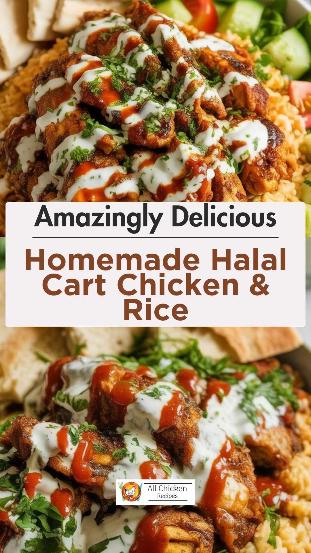 Homemade Halal Cart Chicken & Rice