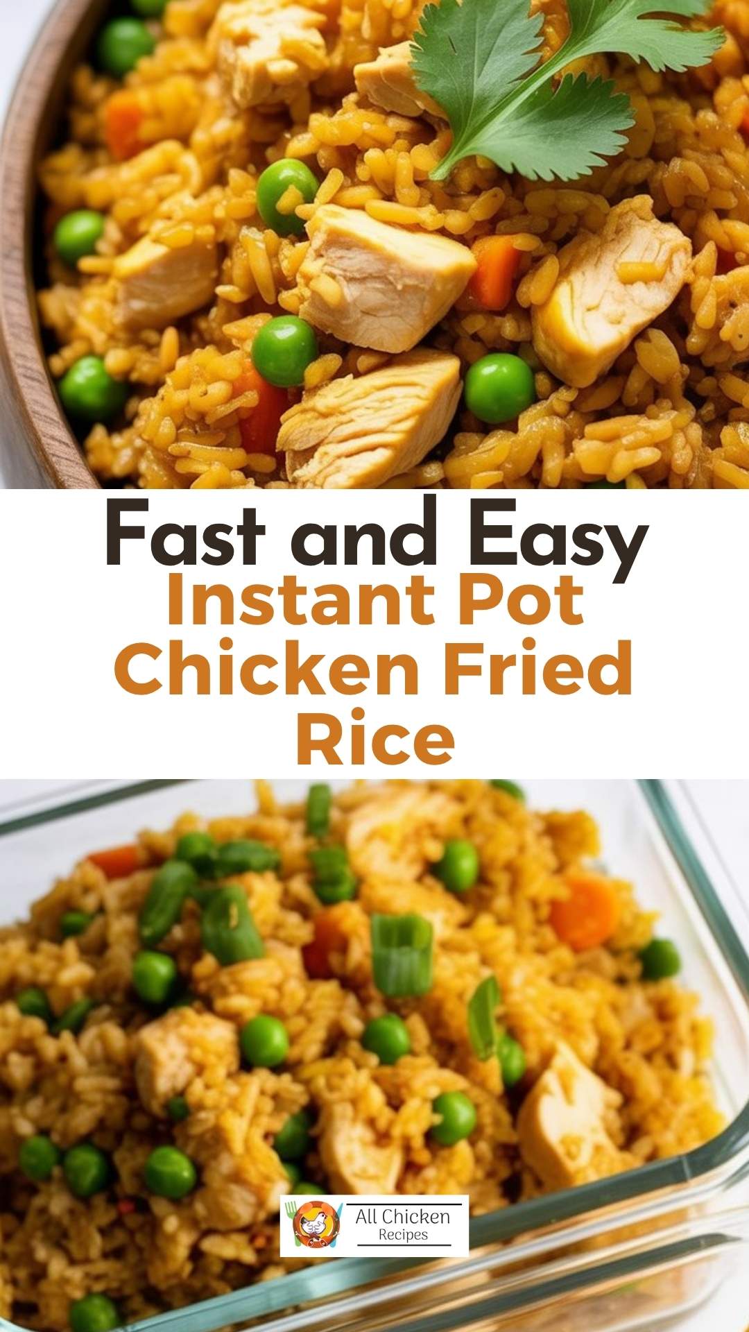 Instant Pot Chicken Fried Rice