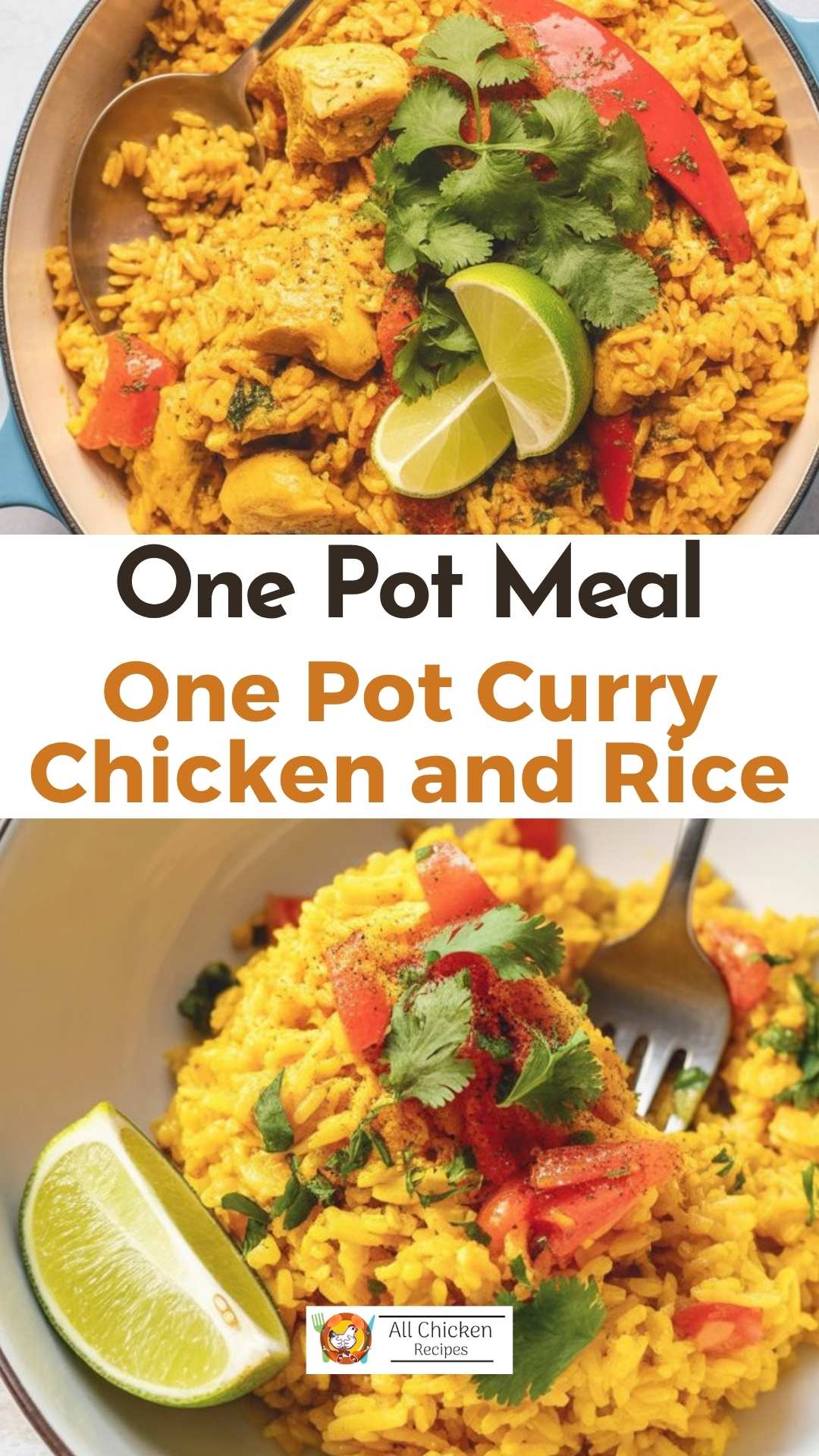 One Pot Curry Chicken and Rice